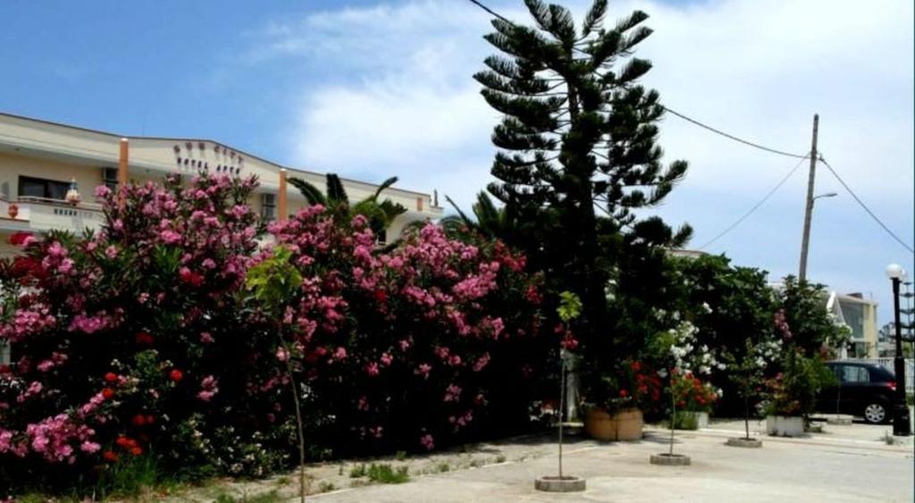 Sun City Kato Daratso Dış mekan fotoğraf